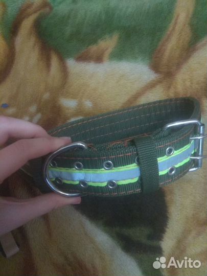 Ошейник и намордник на крупную собаку