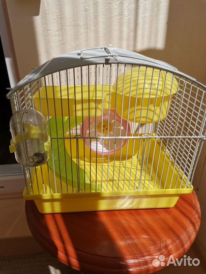Клетка для джунгарского хомяка