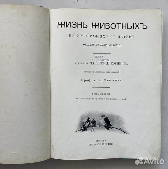 Жизнь животных в фотографиях с натуры. 2 т