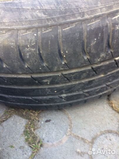 Bridgestone Blizzak DM-V2 205/55 R16