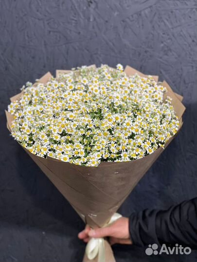 Букет ромашек