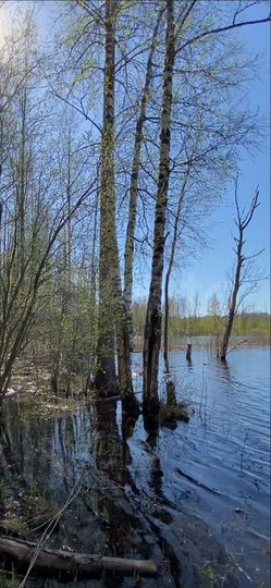 Участок 1,08 га (ИЖС)