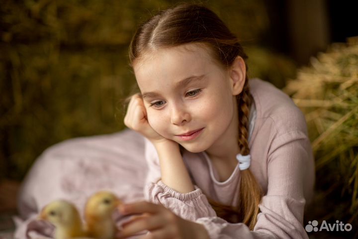 Детский, семейный фотограф