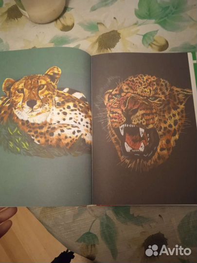 Книга искусство вышивки