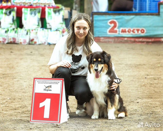 Услуги хендлера