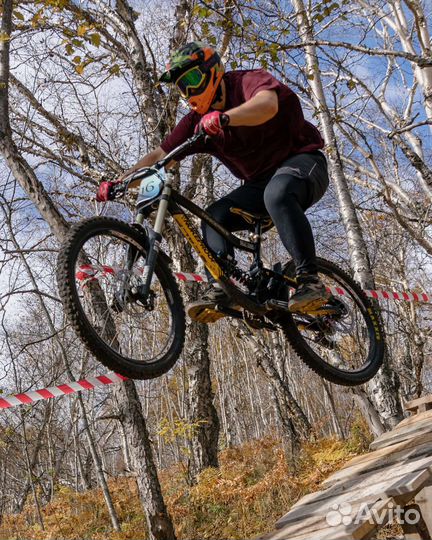 Nukeproof scalp DH