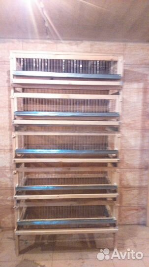 Клетка для перепелов