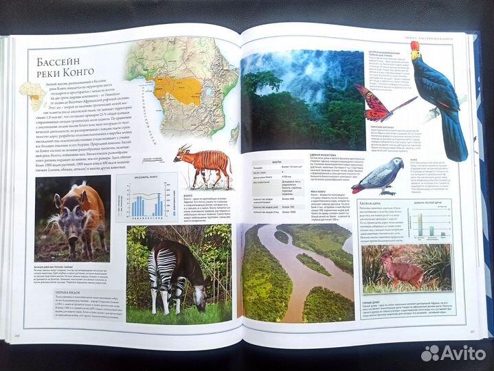 Атлас животного мира.(энциклопедия)