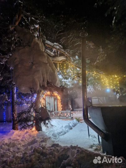 Баня в сосновом лесу