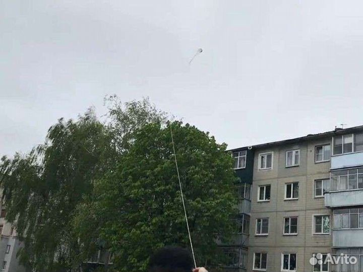 Летучий змей