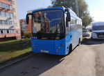 Городской автобус SIMAZ 2258-538, 2020