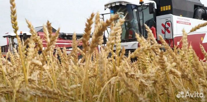 Видеосъёмка Краснодар