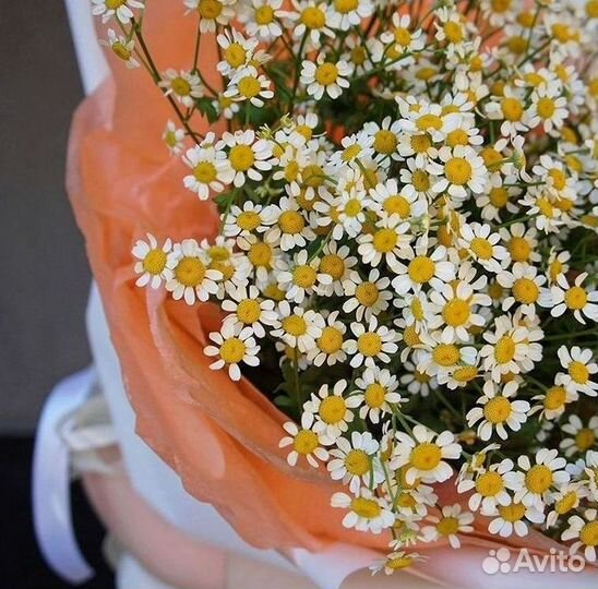 Цветы ромашки. Букеты ромашек. Цветы доставка