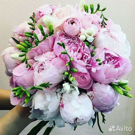 Пионы Букет пионов