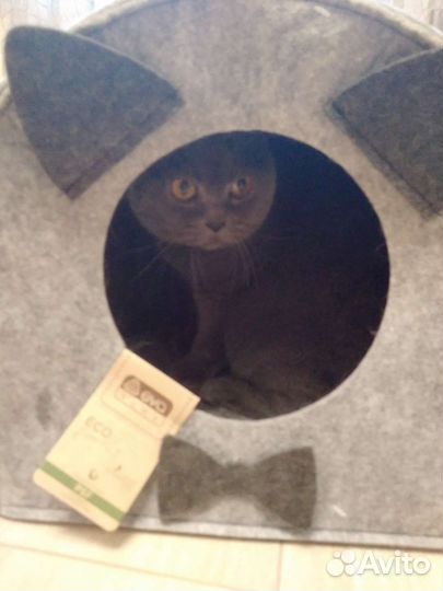 Домик для кошки