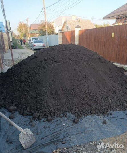 Земля чернозем