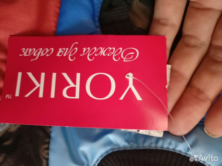 Жилет для собак