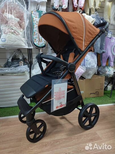 Коляска прогулочная Carello Bravo plus 2023