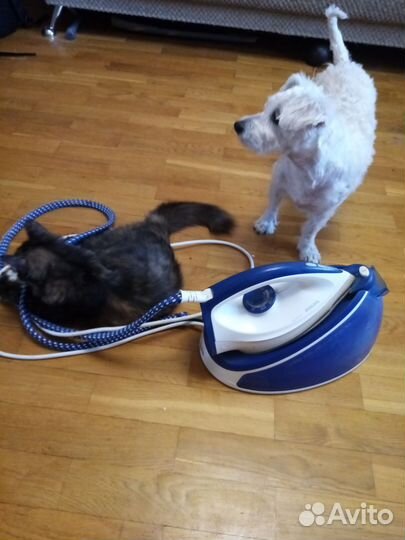 Утюг с парогенератором philips