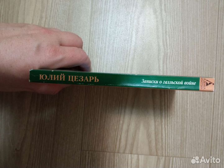 Юлий Цезарь. Записки о галльской войне