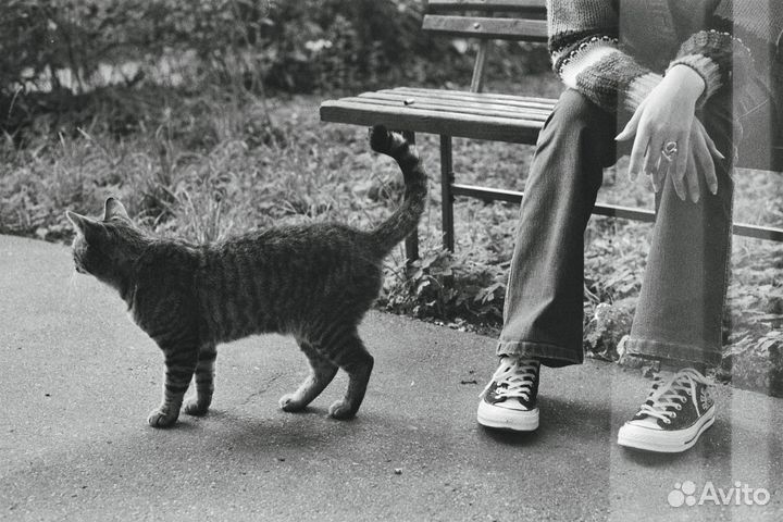 Фотограф Фотосессия на пленку