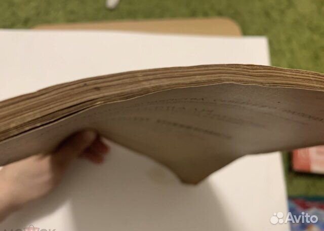 Толвинский Электротехническая промышленность 1919