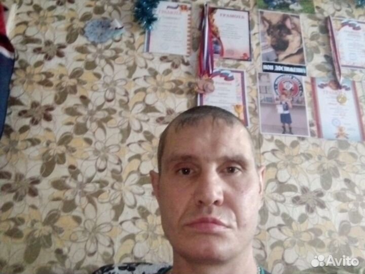 Любая работа, подработка