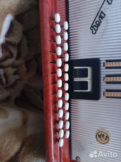 Гармонь Беларусь