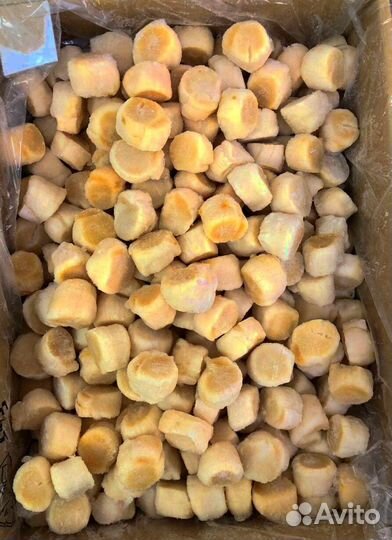 Оптом Морской гребешок