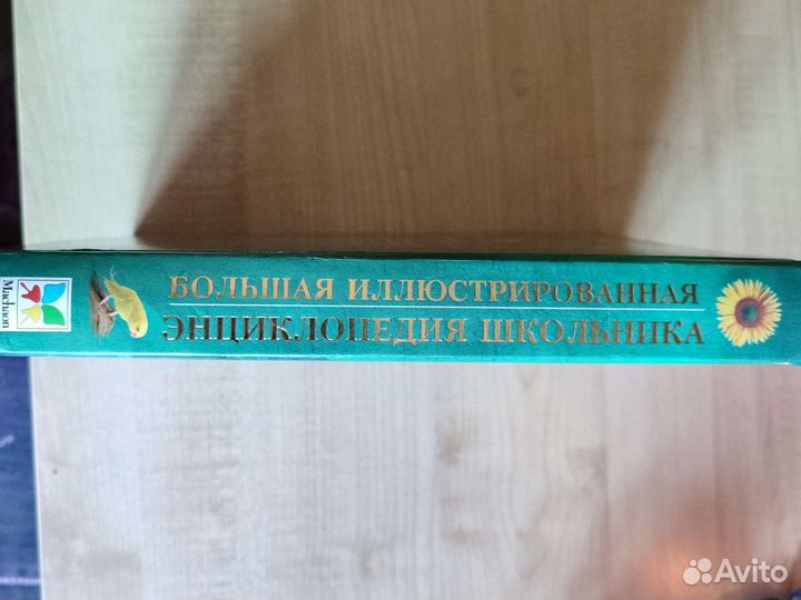 Энциклопедия школьника