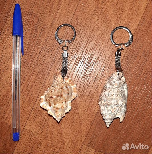 Морские ракушки (сувениры)