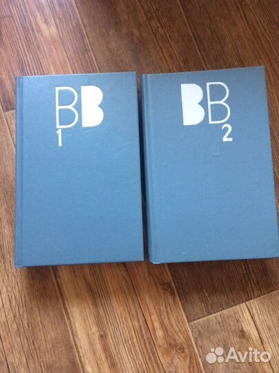 Владимир Высоцкий