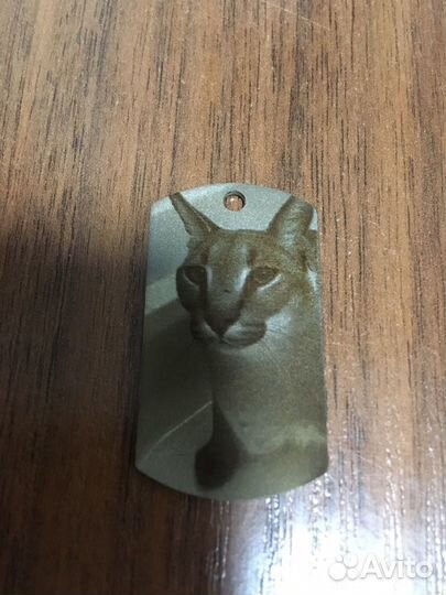 Адресник для собаки. Лазерная гравировка