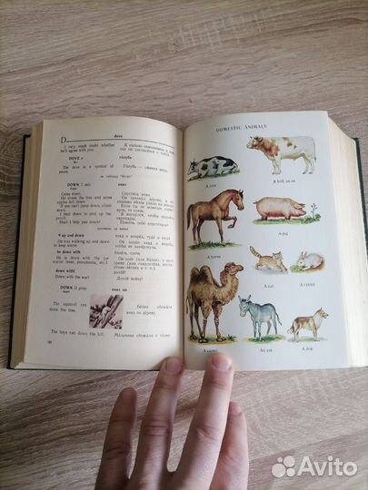 Англо-русский словарь с иллюстрациями. 1964г