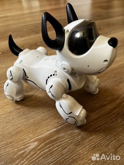 Робот пёс