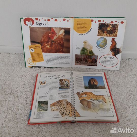 Мир животных, Акулы книги