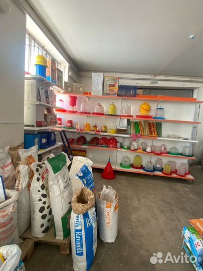 Ведро для поения телят с 1 соской