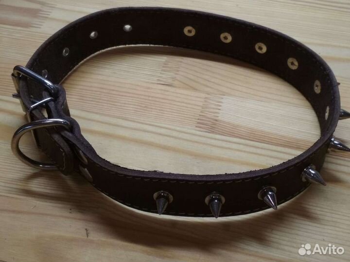 Строгий ошейник для собаки
