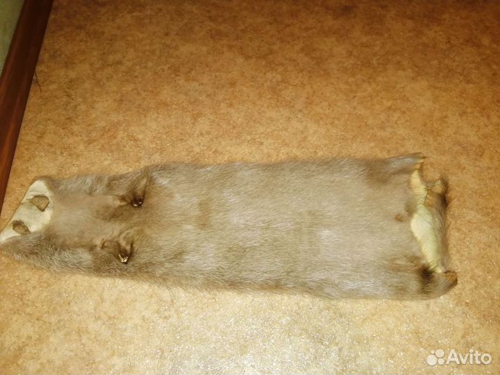 Шкура нутрии