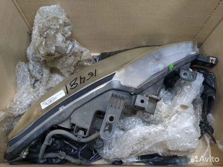 Фара (передняя) Nissan Murano, 2011