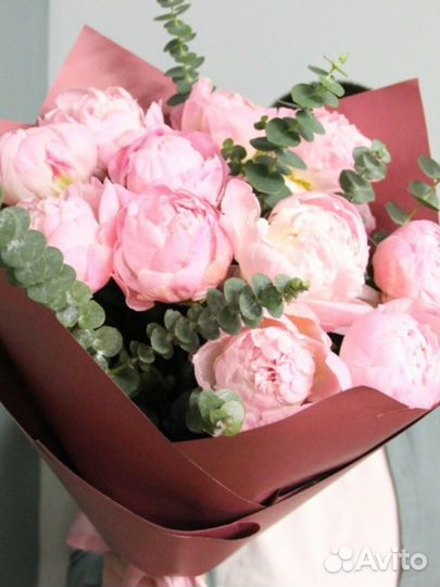 Пионы голландия