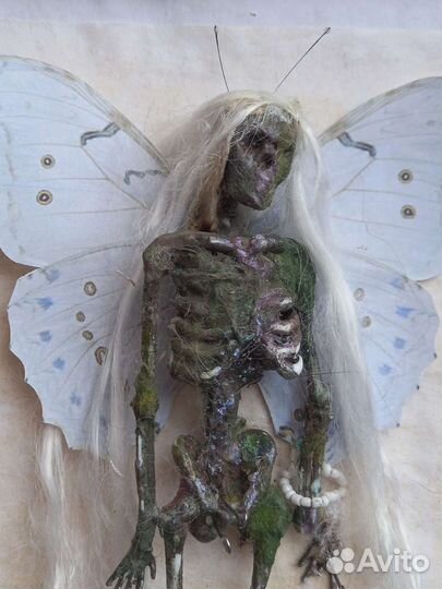 Таксидермия мертвая фея в рамке