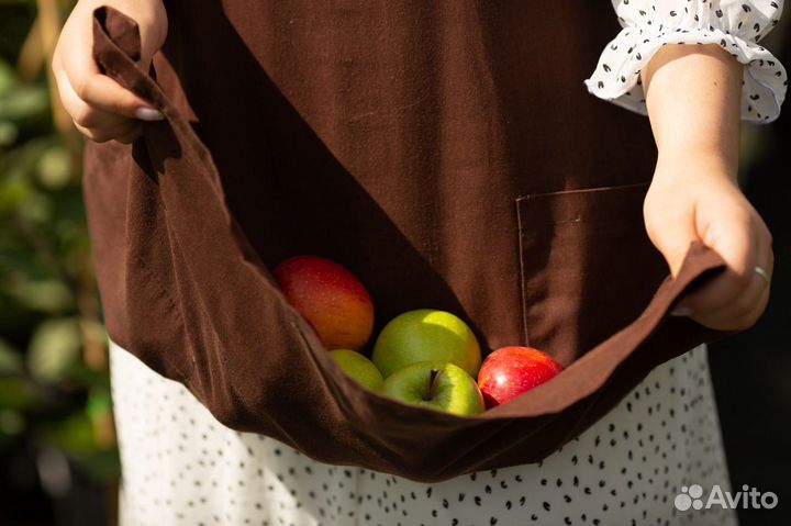 Яблоня, груша, вишня, дюк, алыча