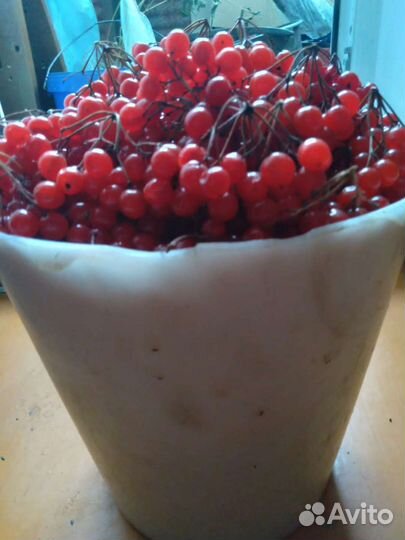 Банка ягода калина