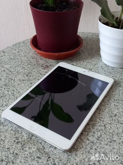 iPad mini