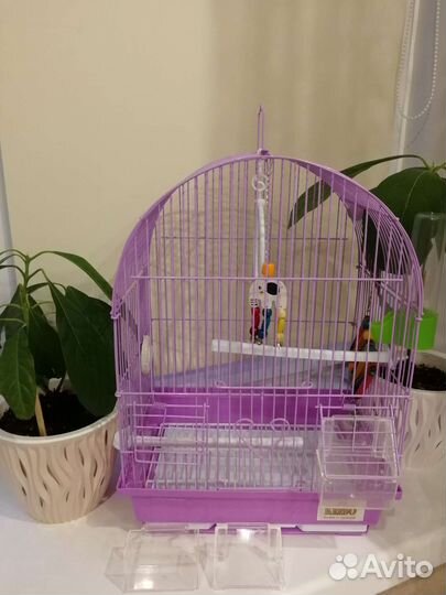 Клетка+корм