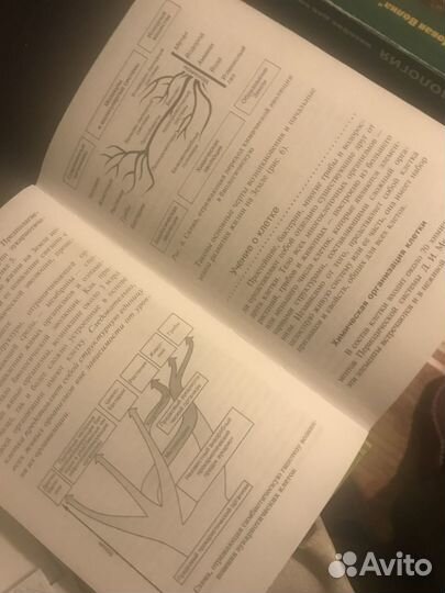 Биология для поступающих в вузы Мамонтов Чебышев