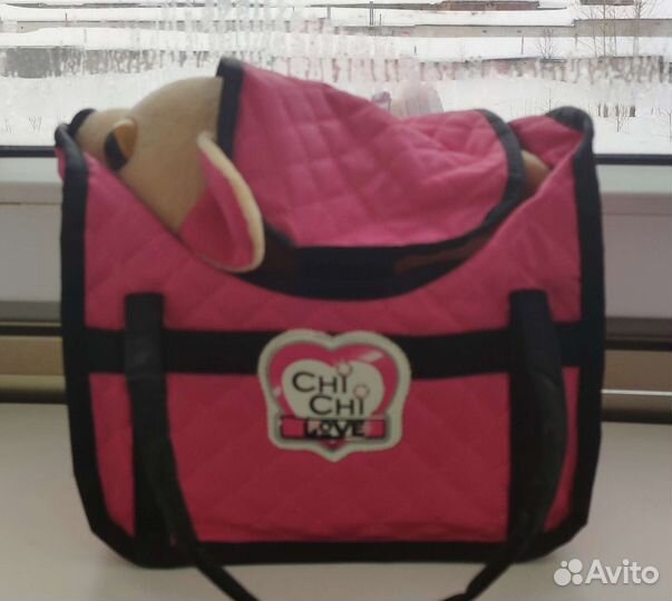 Собака Чичилав