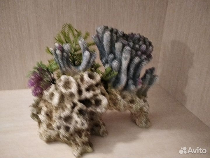 Для аквариума