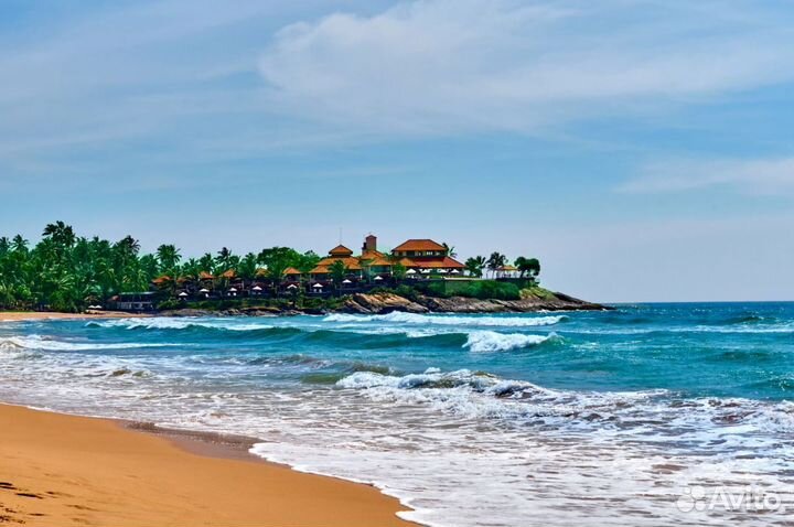 Relax тур на Sri Lanky 7 дней